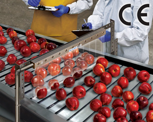 Воздушный нож Exair