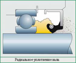 Радиальное уплотнение вала